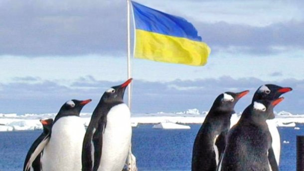 пінгвіни на станції