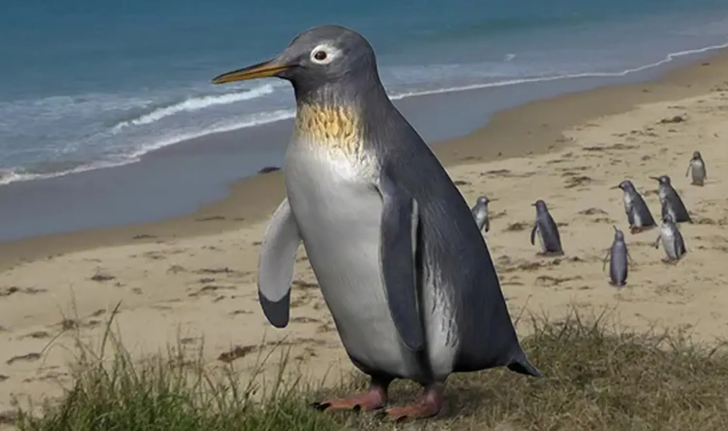 Pakudyptes hakataramea